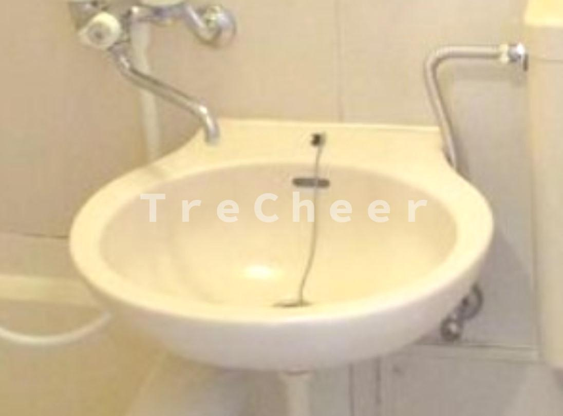 サングリーン東武練馬の洗面所