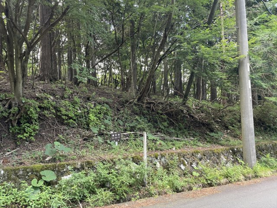 【外観】 | 東急天城高原別荘地　売地