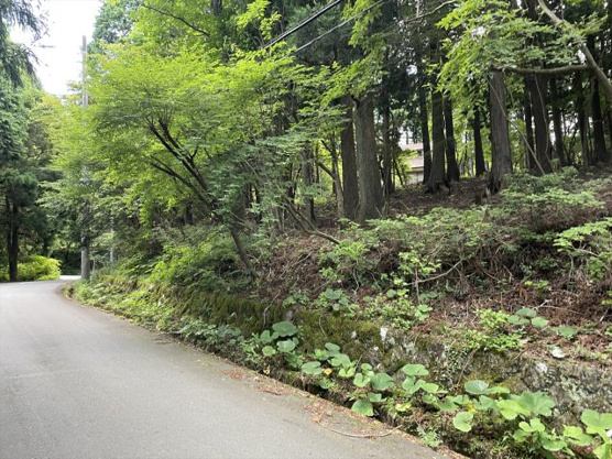 【外観】 | 東急天城高原別荘地　売地