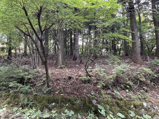 【外観】 | 東急天城高原別荘地　売地