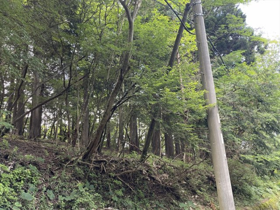 【外観】 | 東急天城高原別荘地　売地