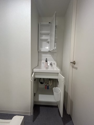 バズ西台Ⅲの洗面所