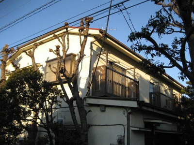 【その他】 | かたばみ苑第２