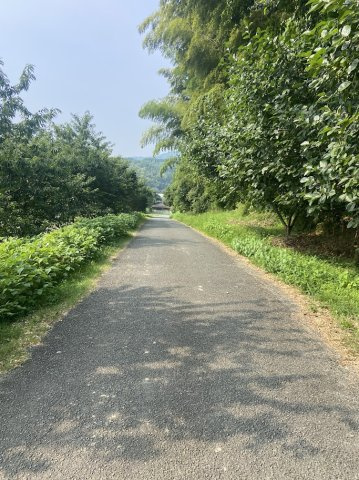 【前面道路含む現地写真】 | 玉名郡南関町大字豊水