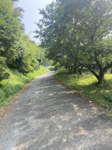 【前面道路含む現地写真】 | 玉名郡南関町大字豊水