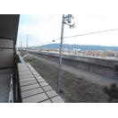 【展望】 | グレース深野