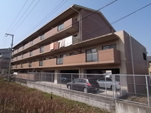 グレース深野の画像