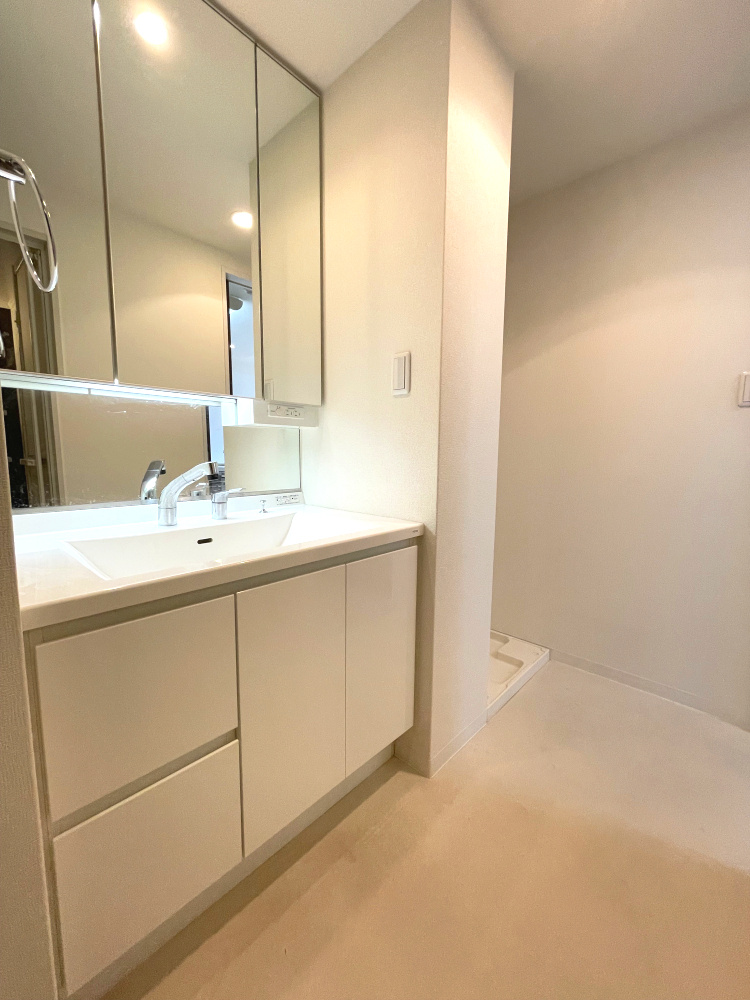 アルファライフ松島公園の独立洗面台