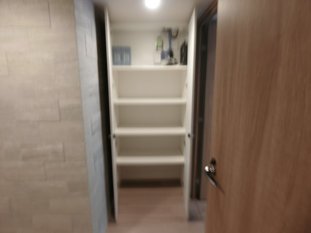 グランドメゾン武蔵小杉の杜の収納