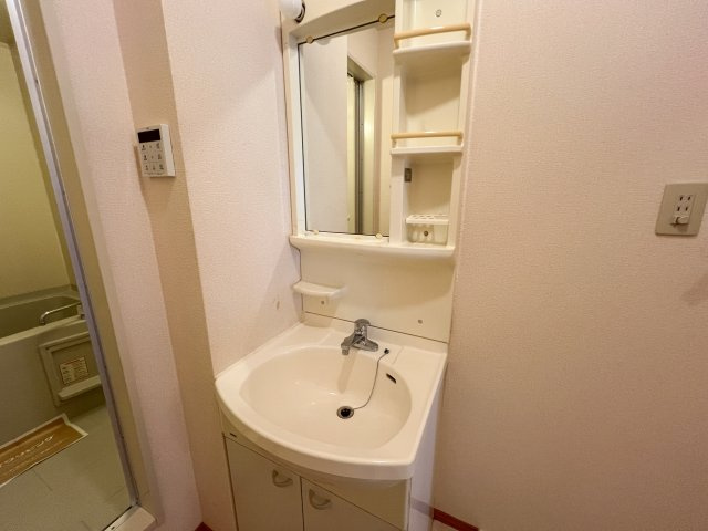 セジュール妙見 B棟の洗面所