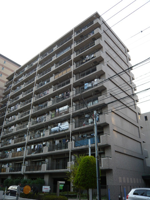 ミスミコーチの画像