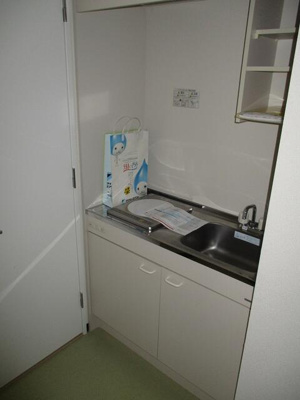 【キッチン】 | Ｍｏｏｎｓｈｉｎｙ弐番館 | キッチンです
