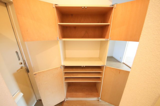 グランディーナ左京の玄関