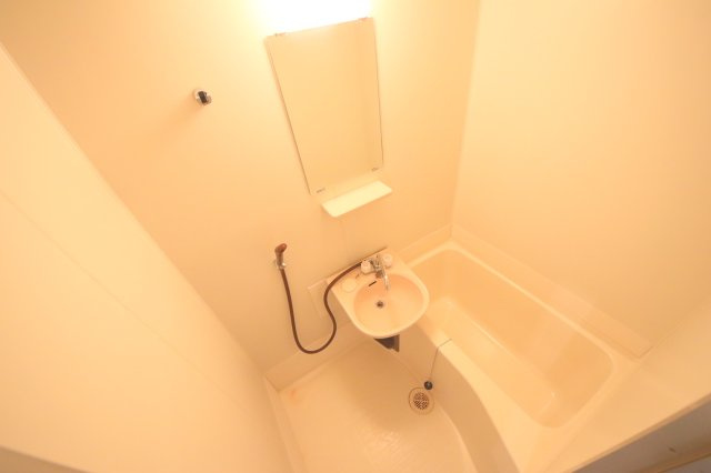 グランディーナ左京の浴室