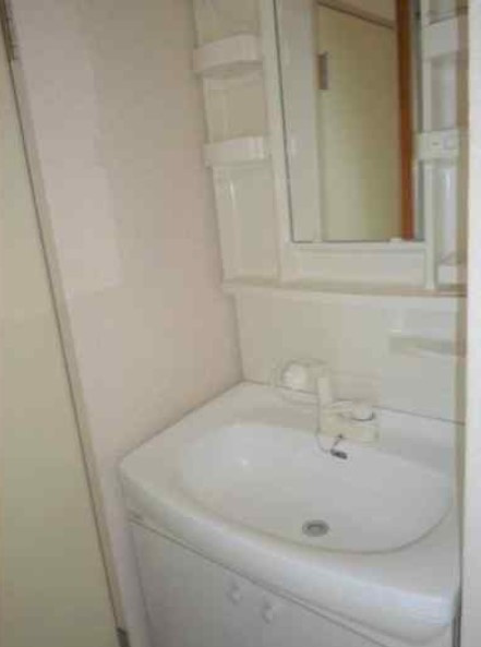 グランディーナ左京の洗面所