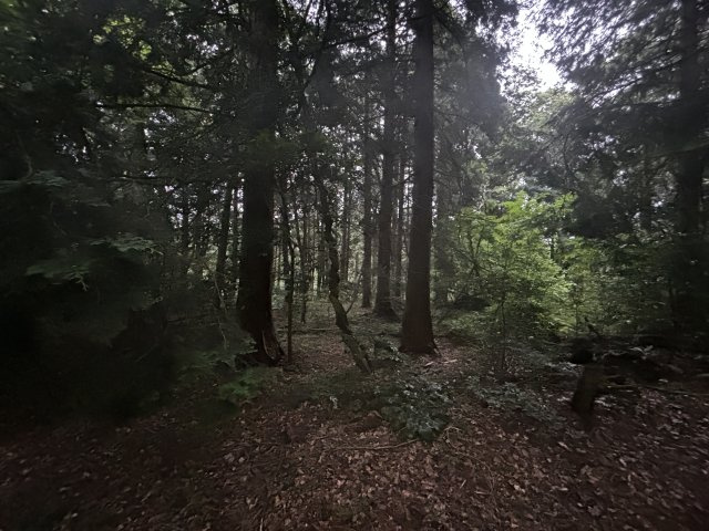 高島市安曇川町中野1032番6　売土地