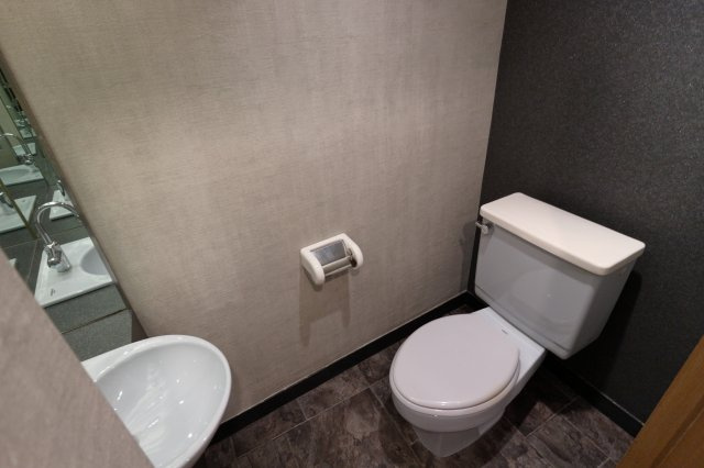 クリスタルタワーⅡのトイレ|清潔感のあるトイレです