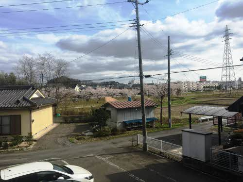 グリーンシャトル柳沼の展望