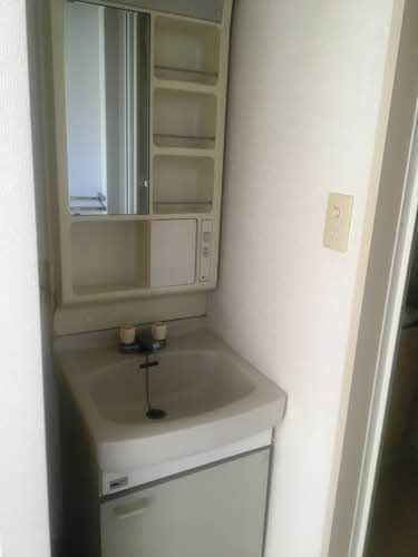 グリーンシャトル柳沼の洗面所