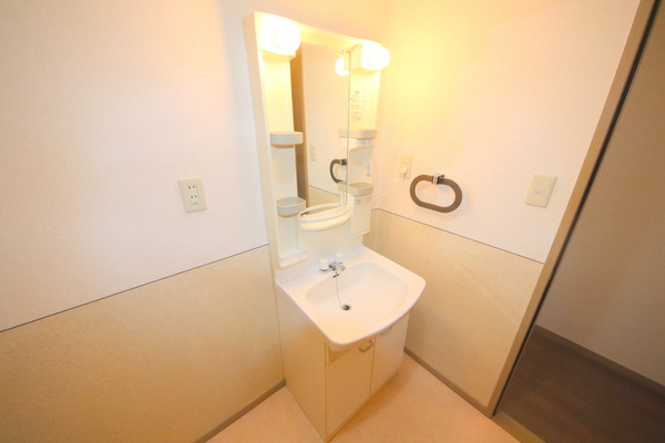 ビヨンドエミネンスB棟の洗面所