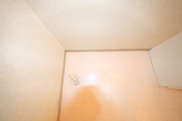 ビヨンドエミネンスC棟のその他