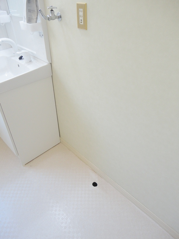 国分ガーデンハイツ【キャッシュバック対象物件】の洗面所|ゆったりとスペースのある洗面所