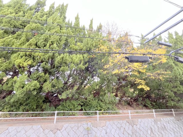 ラヴィーンエミネンスの展望