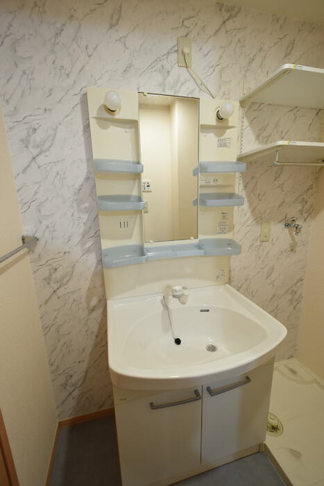 ラスルプレイスの洗面所