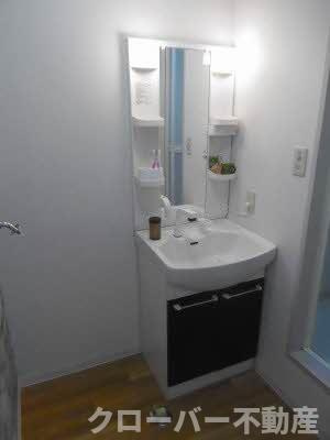 メゾン・アムール C棟の洗面所