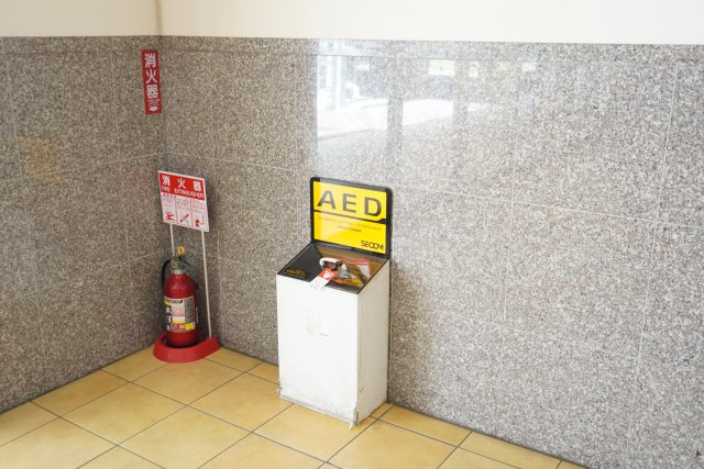 レクセルプラッツァ蒲生のその他共用部分|AED