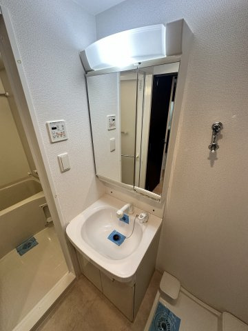 レジュールアッシュ大阪城ＷＥＳＴの洗面所