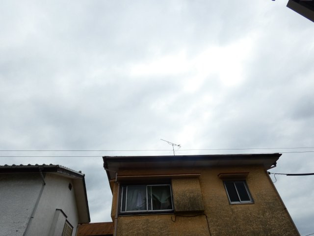 【展望】