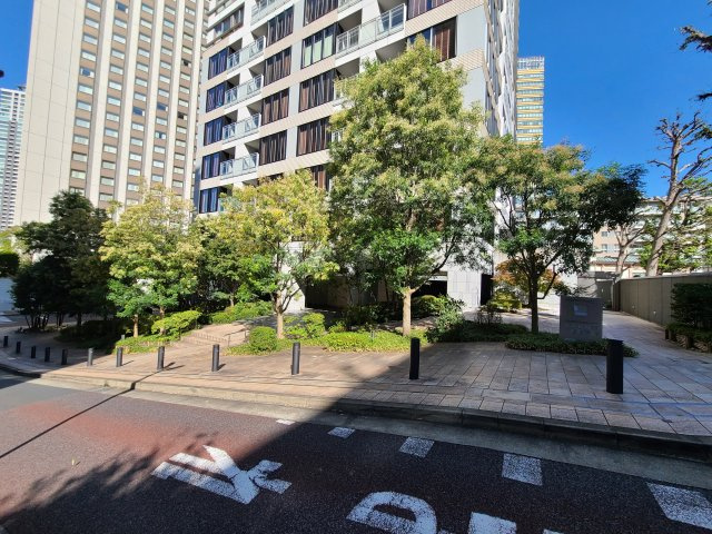 SAION SAKURAZAKAのその他