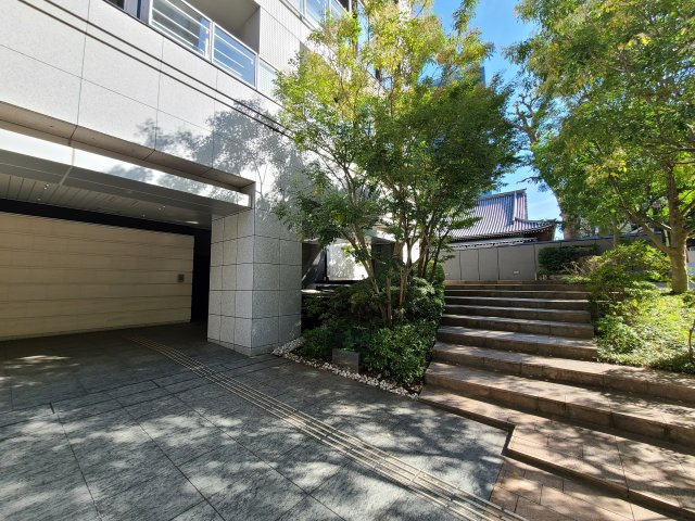 SAION SAKURAZAKAのその他