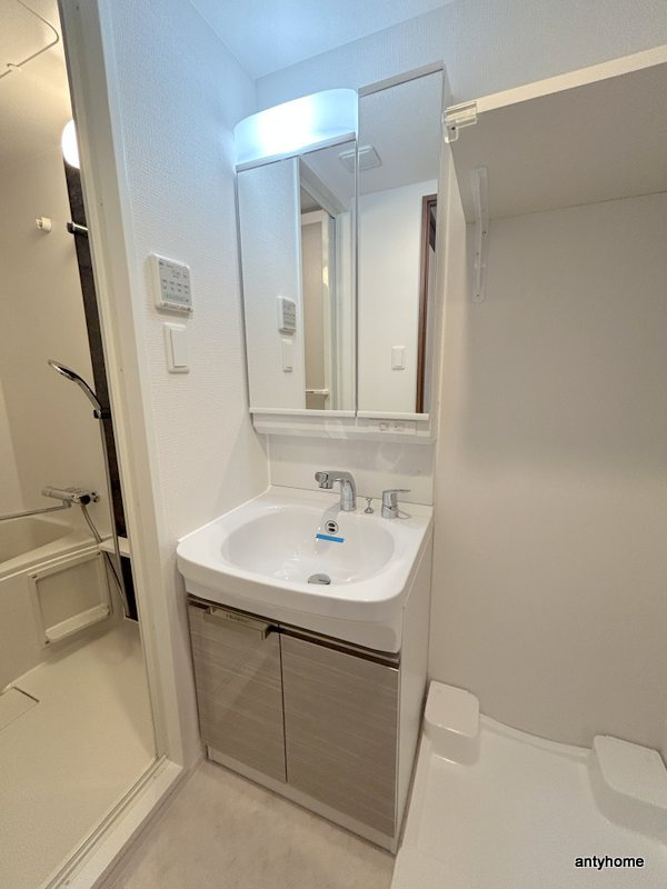 エスリード難波AGREA　仲介手数料無料の洗面所