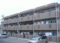 ユーミー豊泉の画像