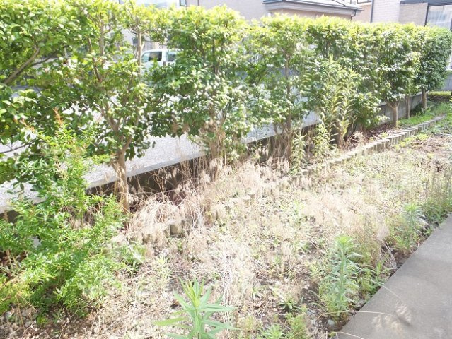 【展望】 | グランメゾン１号館 | 1Ｆ