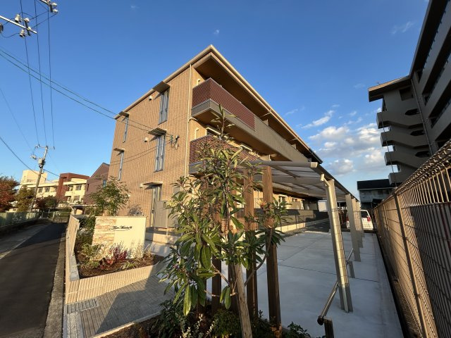 Ｔｉａｒｅ　Ｍａｎｂａｉの画像