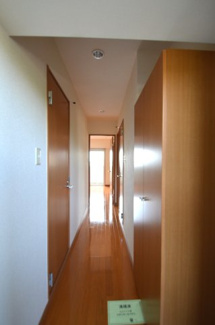 【玄関】 | アルトカッシーナ