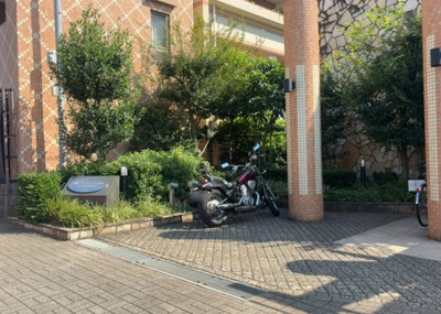 【中庭】 | グリーンティエラ星が丘 | 中庭（パティオ）とは、一つの建築物の内部に設けられた、壁などで囲われている庭のことを指します。コの字型、ロの字型が主流ですが、L字型の中庭もあります。最近では、インテリア性の高さからも人気があります。