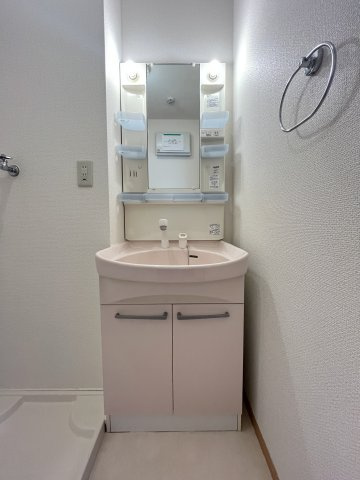 グランルーチェの洗面所