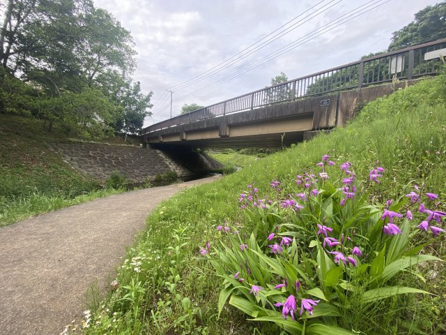 下溝　建築条件なし売地の周辺|徒歩2分の川沿いに設置された遊歩道は四季折々の花が咲きちょうど良いお散歩コースです