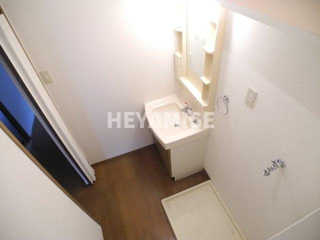 ロイヤルガーデン仲沖Fの洗面所