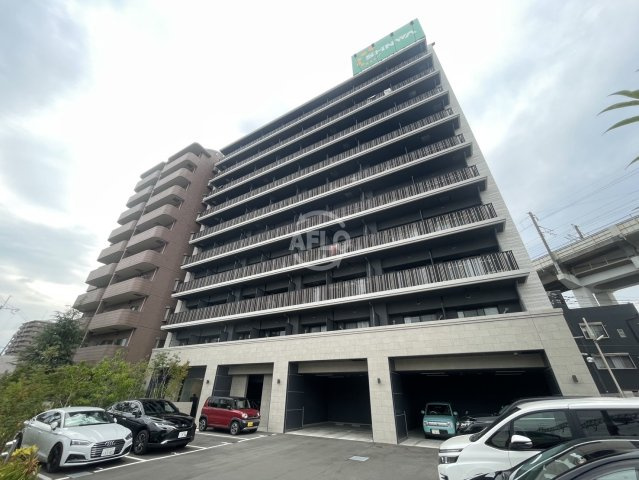 スプランディッドⅧの画像