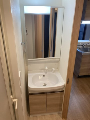 LANDIC N110の洗面所