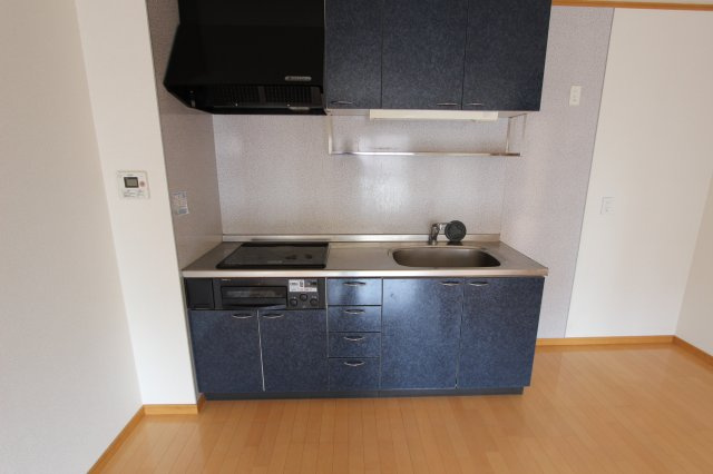 アルカディアⅡのキッチン