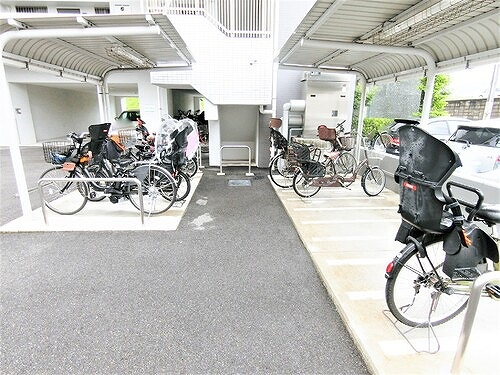 アルファライフ観音のその他|駐輪場　※2020年6月撮影