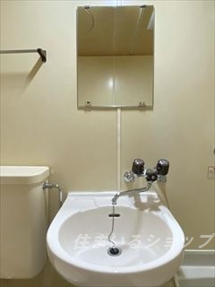 広島市安佐北区口田４丁目の賃貸マンションの洗面所