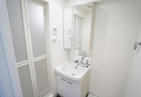 大阪市中央区農人橋１丁目の賃貸マンションの洗面所