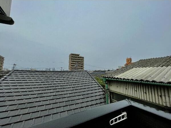 アレクサンダープラッツ金山(アレクサンダープラッツ）の展望